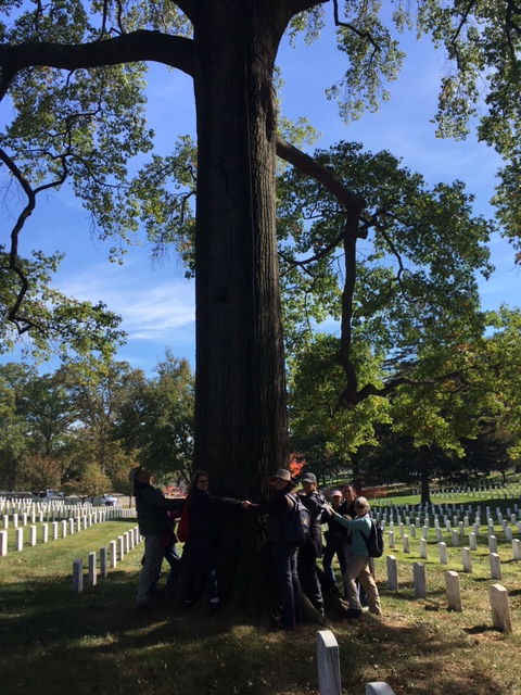 arlington cemetery walk group pic pin oak.JPG